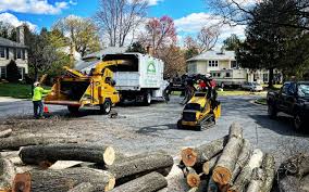 Best Grass Overseeding  in Chula Vista, CA
