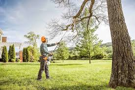 Best Lawn Renovation and Restoration  in Chula Vista, CA