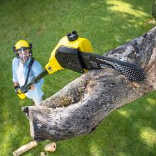 Best Lawn Maintenance Plans  in Chula Vista, CA